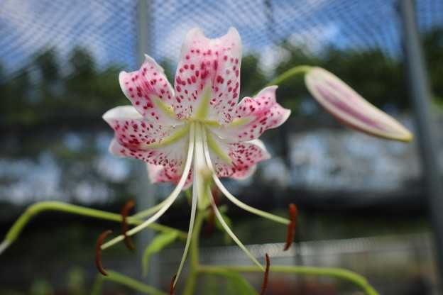 とても残念です。