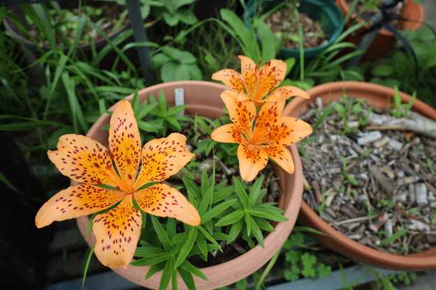 月曜日の朝からうれしい。