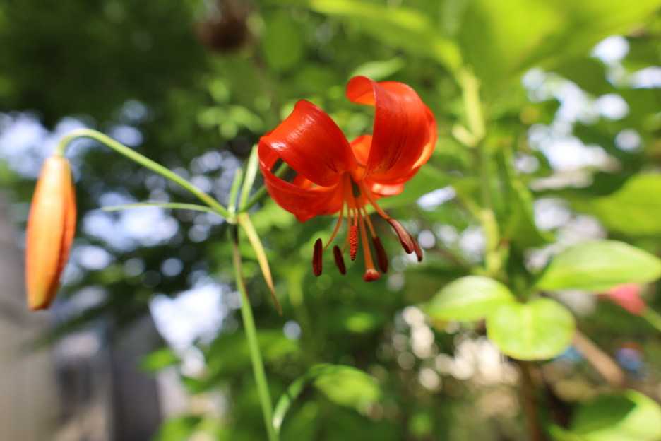 ショックです。