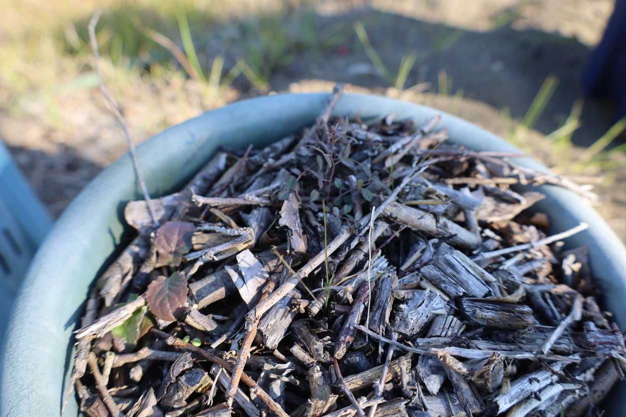 あけましておめでとうございます。