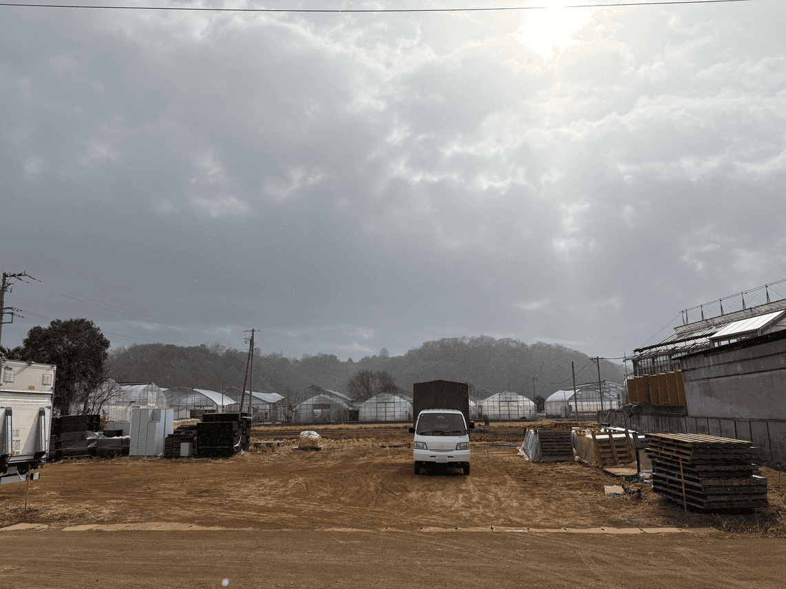 雪が降りました