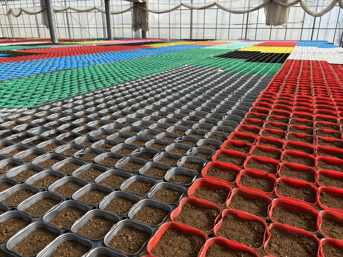 春の出荷に向けて