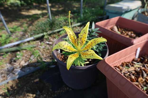 驚いています。