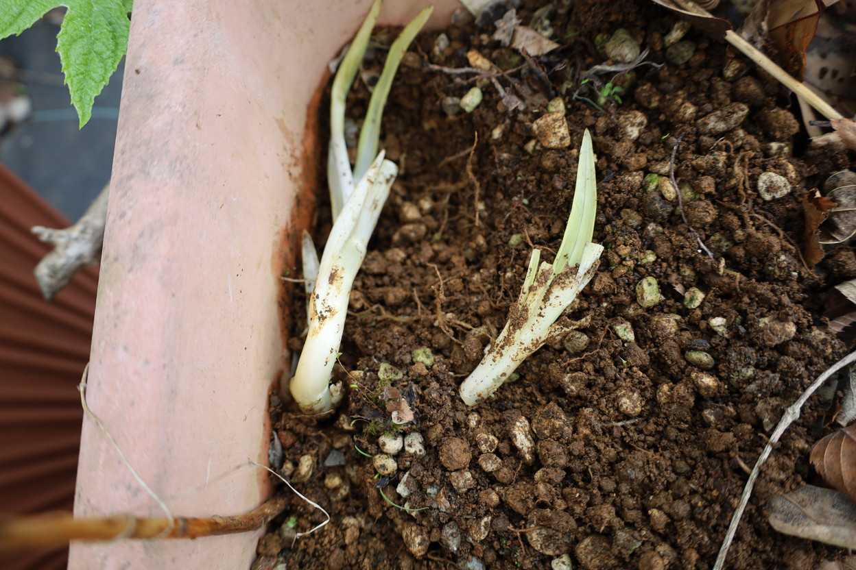 あ”～～っ！やっちゃった。