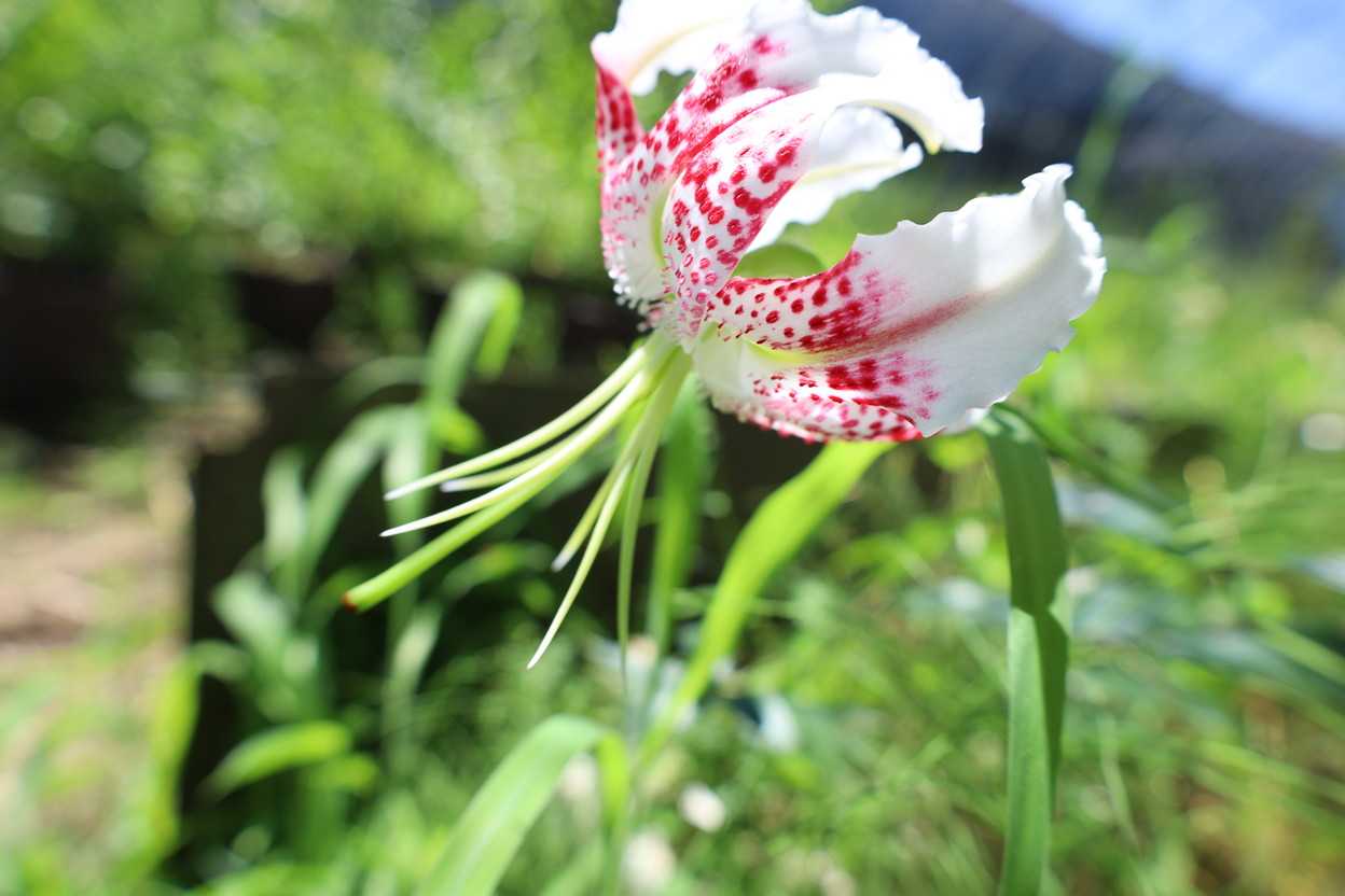 意地悪をしてます。