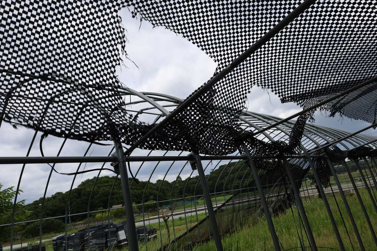 台風6号の被害